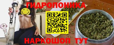 прущие крисы Аргун