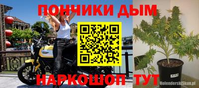 прущие крисы Аргун