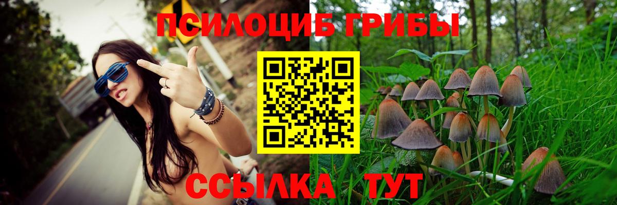 Псилоцибиновые грибы прущие грибы  продажа наркотиков  Нижний Новгород 